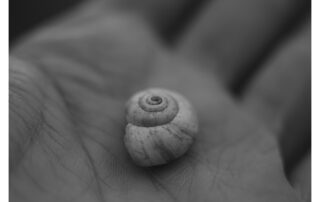 Finding Inspiration in Small Places
