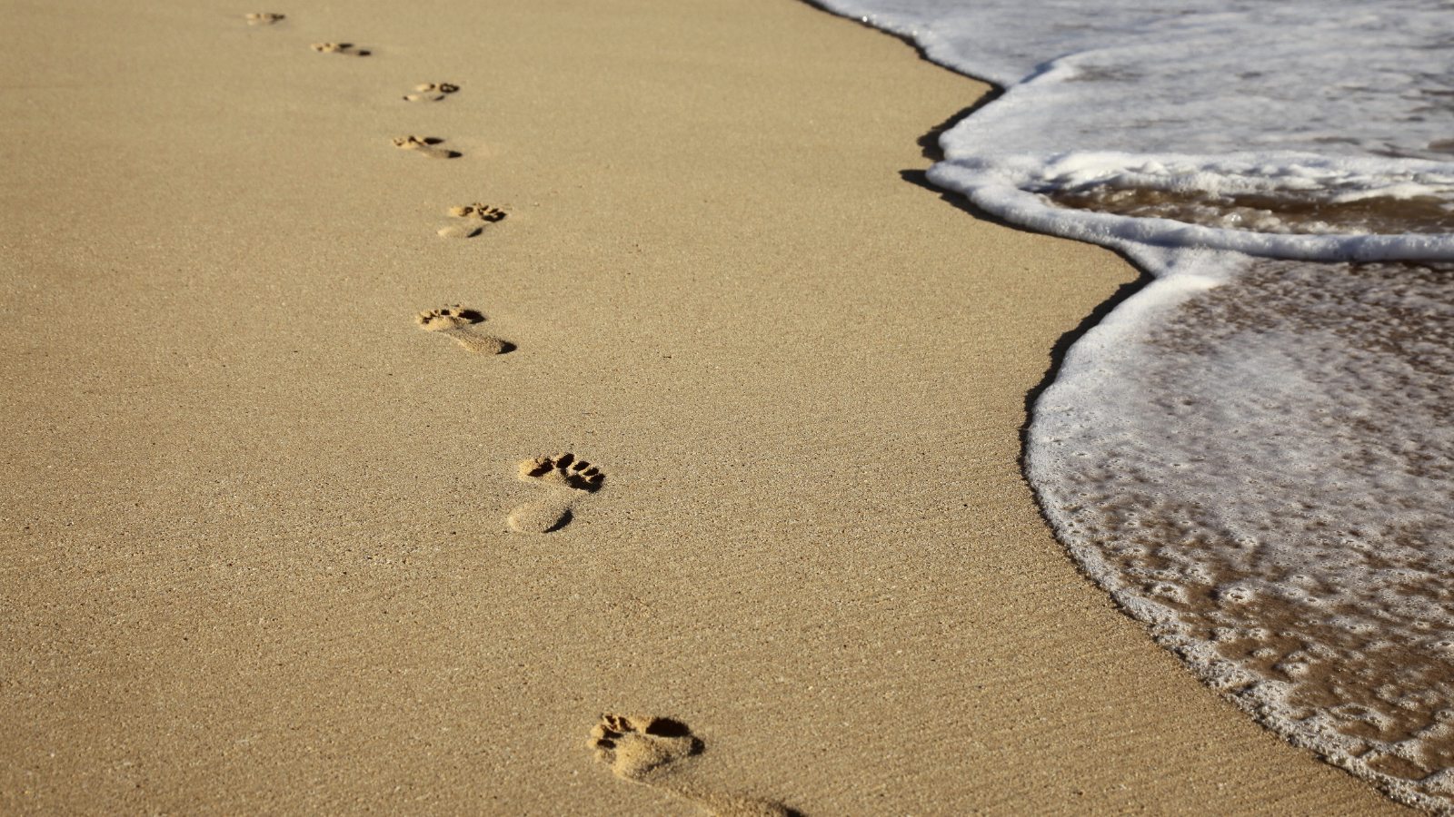 Simple Steps for Presenting Great Ideas