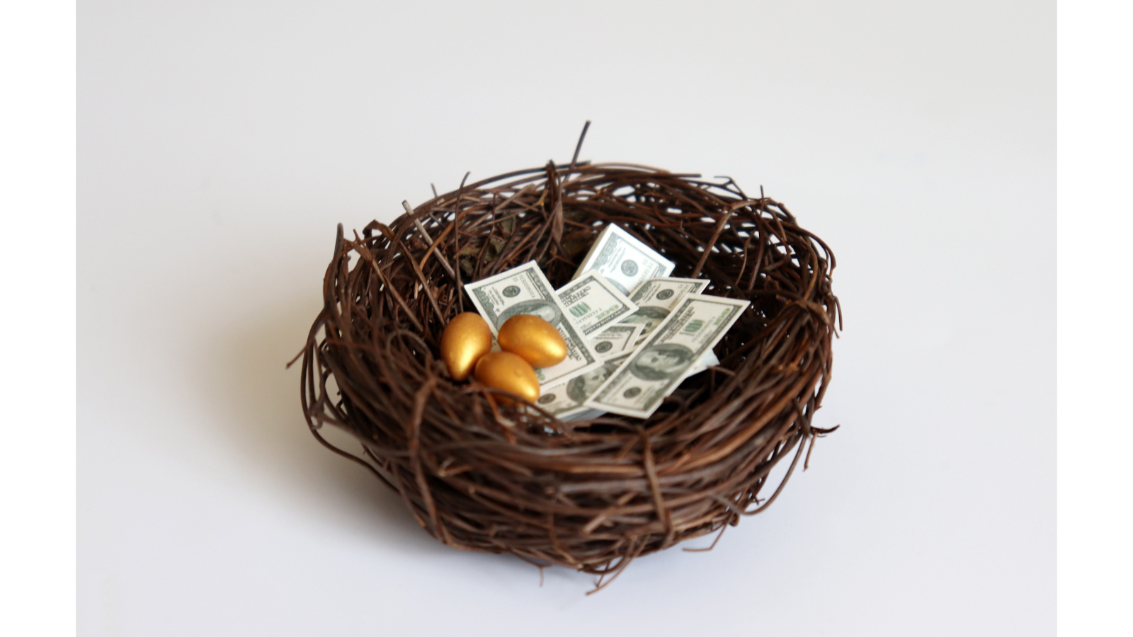 Retirement Next Egg