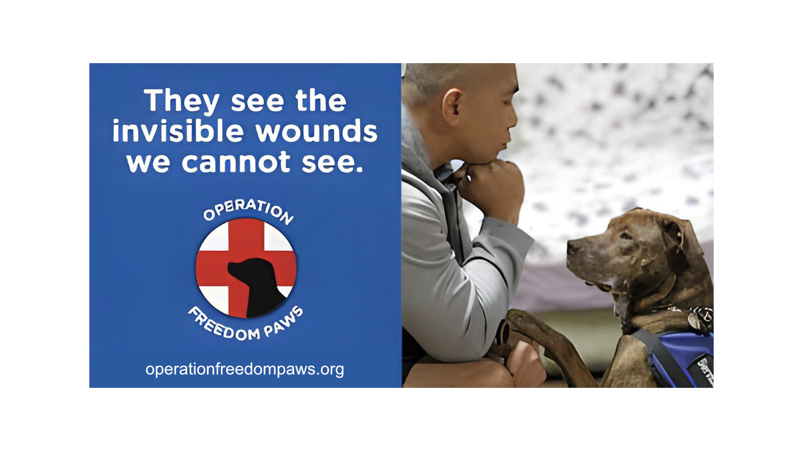 Rebranding a Nonprofit