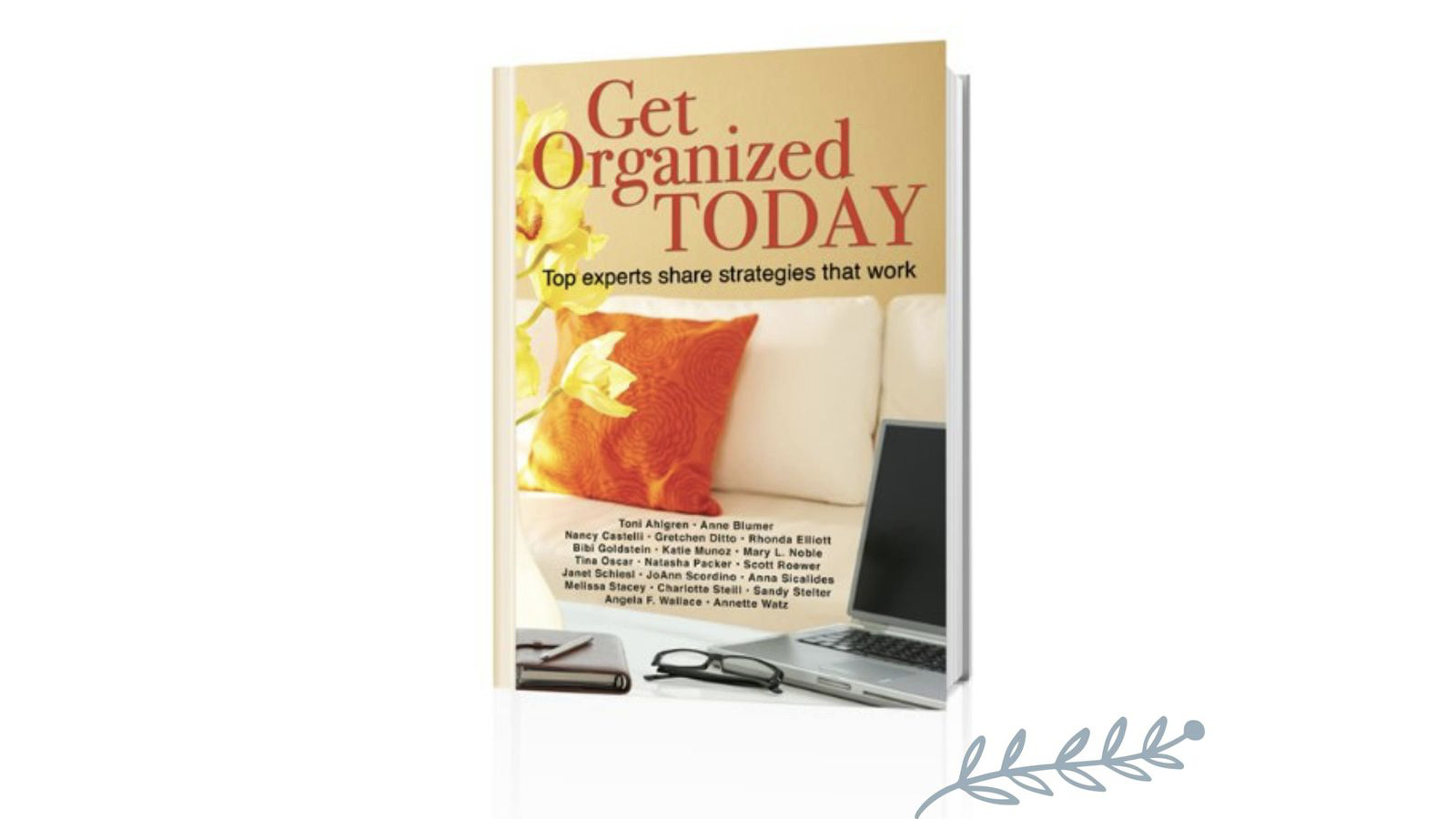 Get Organized Today