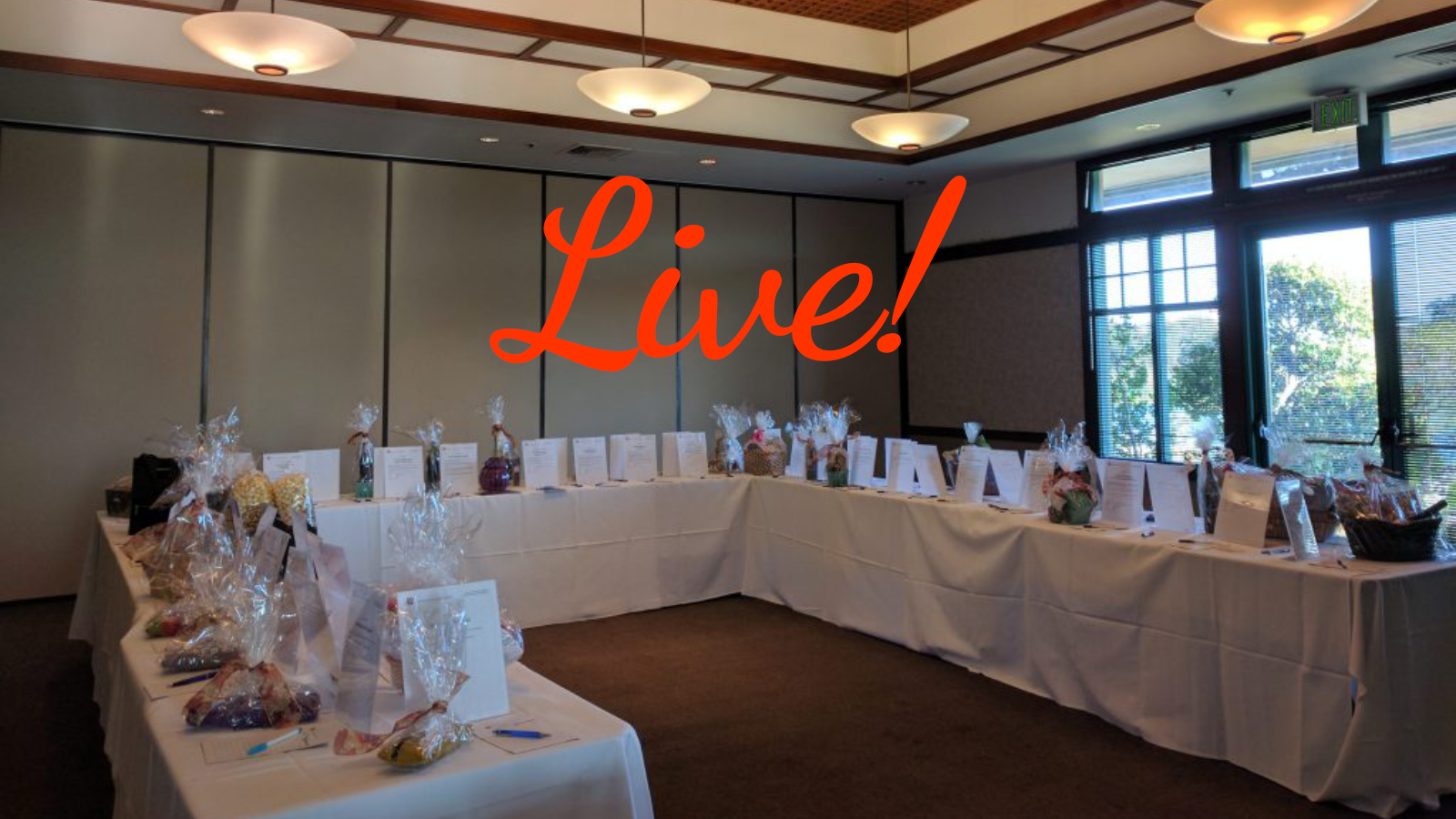 Silent Auction is Live