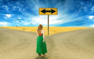 Choose Consultant or Vendor