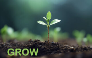 Grow