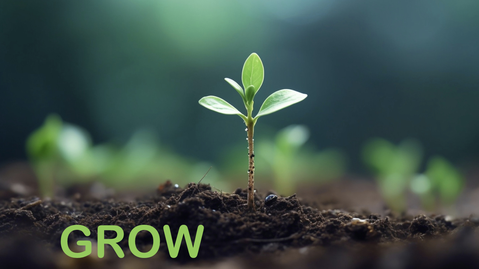 Grow